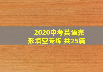 2020中考英语完形填空专练 共25篇